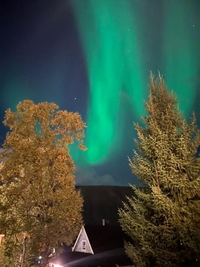 Tromso Arctic Villa With Free Parking Eksteriør bilde